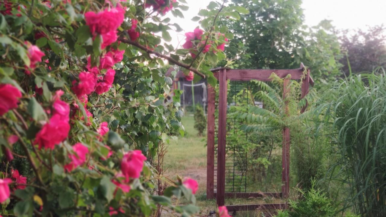 Ow Sargus Bed and Breakfast Władysławowo Eksteriør billede