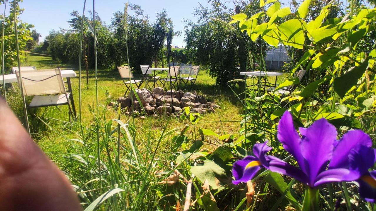Ow Sargus Bed and Breakfast Władysławowo Eksteriør billede
